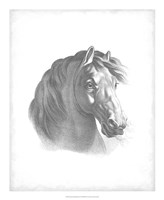 Framed Equestrian Blueprint II