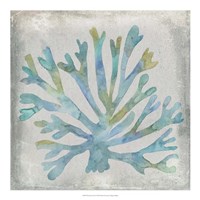 Framed Watercolor Coral I