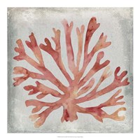 Framed Watercolor Coral III