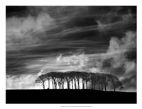 Framed Early Morning Clouds