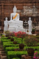 Framed White Buddha, Wat Yai Chaya Mongkol or The Great Temple of Auspicious Victory, Ayutthaya, Thailand