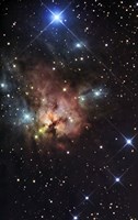 Framed Northern Trifid Nebula