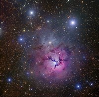 Framed Trifid Nebula located in Sagittarius