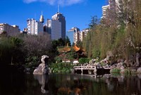 Framed Chinese Garden, Darling Harbor, Sydney, Australia