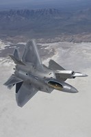 Framed Two F-22 Raptors over New Mexico (vertical)