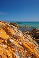Framed Orange Lichen, Green Point, Ann Bay, Australia