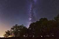 Framed Milky Way Above LiveOoak and Mesquite Trees