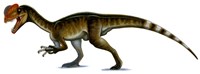 Framed Dilophosaurus Wetherilli