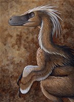 Framed Velociraptor, a Dromaeosaurid dinosaur of the Cretaceous Period