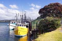 Framed Fishing Boats, Tauranga Harbor, Tauranga, New Zealand