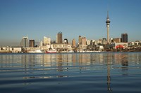 Framed Auckland CBD skyline, North Island, New Zealand