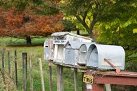 Framed Letterboxes, King Country, North Island, New Zealand