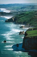 Framed Dunedin Coast near Tunnel Beach, New Zealand