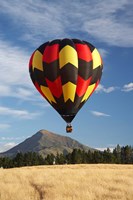 Framed Hot Air Balloon, Wanaka, South Island, New Zealand