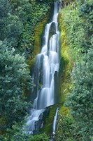 Framed Waterfall, Centennial Gardens, Napier, Hawkes Bay, North Island, New Zealand