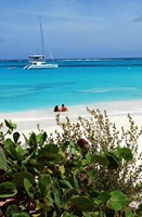 Framed Swimming the waters of Prickly Pear Island with Festiva Sailing Vacations