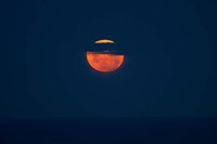 Framed Full moon, from Dunedin, South Island, New Zealand