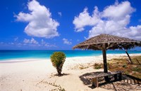 Framed Coco Point Beach, Barbuda, Antigua