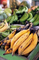 Framed Fresh bananas at the local market in St John's, Antigua