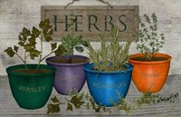 Framed Potted Herbs