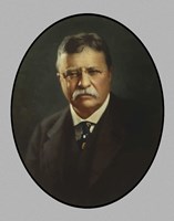 Framed President Theodore Roosevelt
