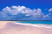 Framed Pink Sand Beach, Harbour Island, Bahamas