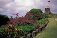 Framed Gun Hill, Barbados, Caribbean