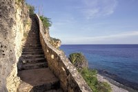 Framed 1,000 Steps Limestone Stairway in Cliff, Bonaire, Caribbean