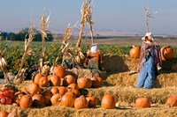 Framed Scarecrows, Fruitland, Idaho