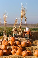 Framed Pumpkin, hay bales, scarecrows, Fruitland, Idaho