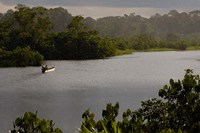 Framed Quichua Indian in Dugout Canoe, Napo River, Amazon Rain Forest, Ecuador