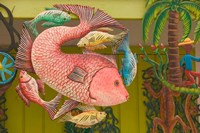 Framed Fish Souvenir at Al Vern's Craft Market, Turks and Caicos, Caribbean