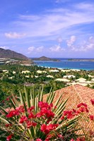 Framed Orient Bay and pink flowers, St Martin, Caribbean