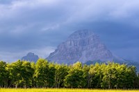 Framed Crowsnest Mountain at Crownest Pass in Alberta, Canada