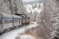 Framed Via Rail Snow Train Between Edmonton & Jasper, Alberta, Canada