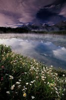 Framed Alberta, Banff National Park Lake Maligne