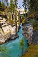 Framed Athabasca Falls, Jasper National Park, Alberta, Canada