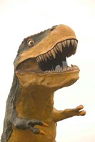Framed World's Largest Tyrannosaurus Rx, Drumheller, Alberta, Canada