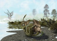 Framed Velociraptor is attacking a Protoceratops
