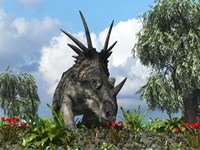 Framed Styracosaurus samples flowers of the order Ericales