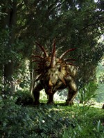 Framed Styracosaurus in a forest