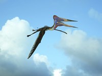 Framed Zhejiangopterus, a genus of azhdarchid pterosaur