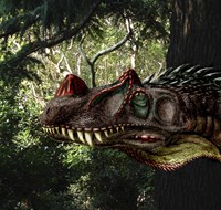 Framed Ceratosaurus magnicornis of the Late Jurassic Period