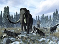 Framed pack of dire wolves crosses paths with two mammoths during the Upper Pleistocene Epoch