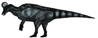 Framed Corythosaurus, a Large Hadrosaurid Dinosaur