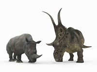 Framed Adult Diabloceratops Compared to a Modern adult White Rhinoceros