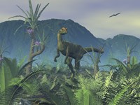 Framed Colorful Adult Male Dilophosaurus Explores a Hilltop