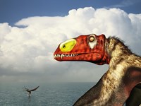 Framed Close-Up of a Colorful Large-Billed Dimorphodon