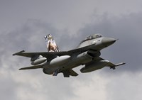 Framed Belgian F-16B taking off