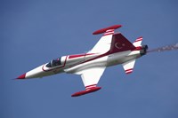 Framed F-5 jet of the Turkish Stars Aerobatic Demonstration Team